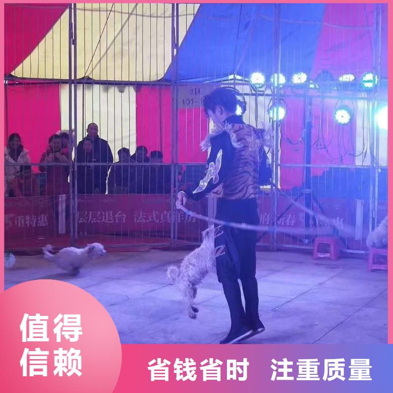 萌宠动物展租赁联系方式实力商家