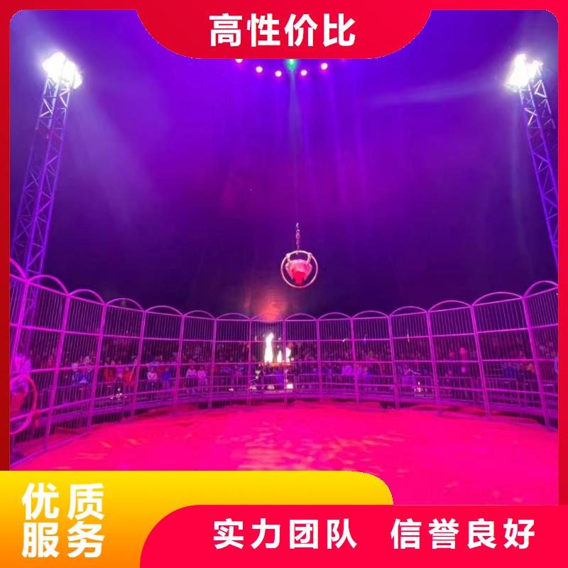 【马戏团/羊驼_出租海狮表演专业品质】团队