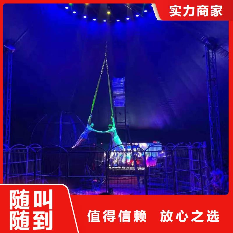 陵水县羊驼租赁图片案例