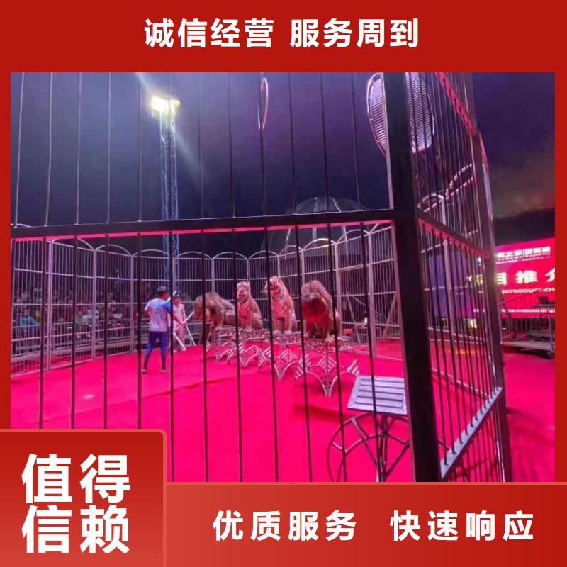 动物表演租赁点击查看当地公司