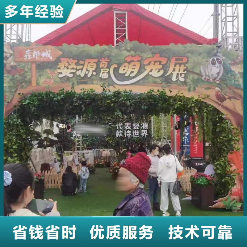 马戏团/羊驼【海狮表演】高品质技术精湛