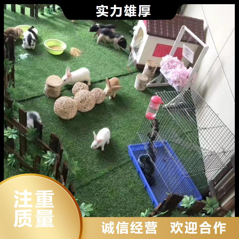 哪里有出租马戏团的知名公司