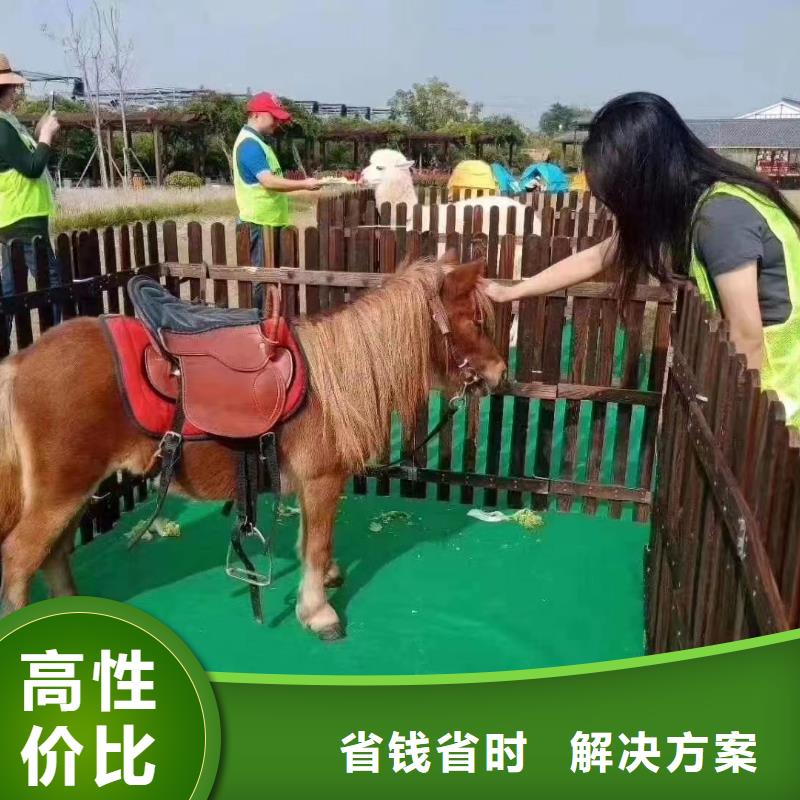 马戏团/羊驼【马戏团表演出租租赁】服务至上技术可靠