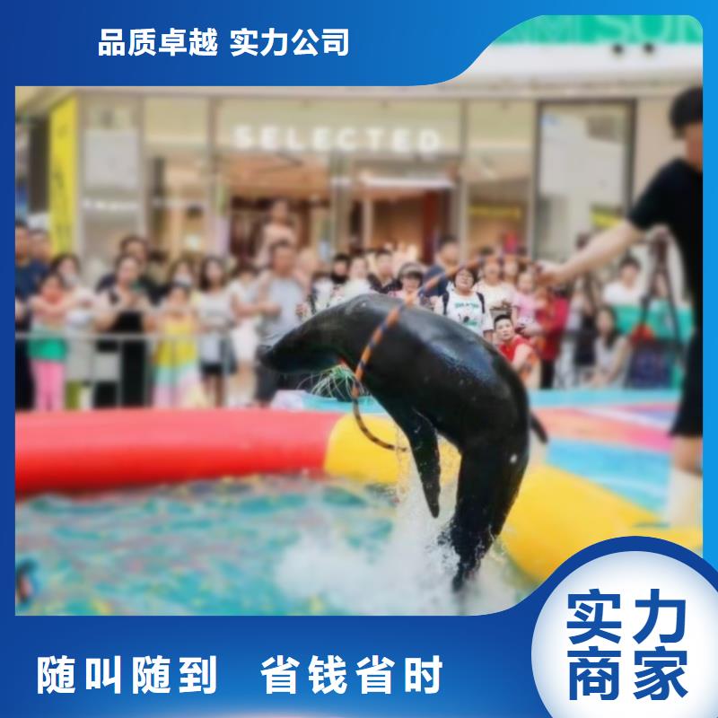 美人鱼表演出租佳木斯暖场活动