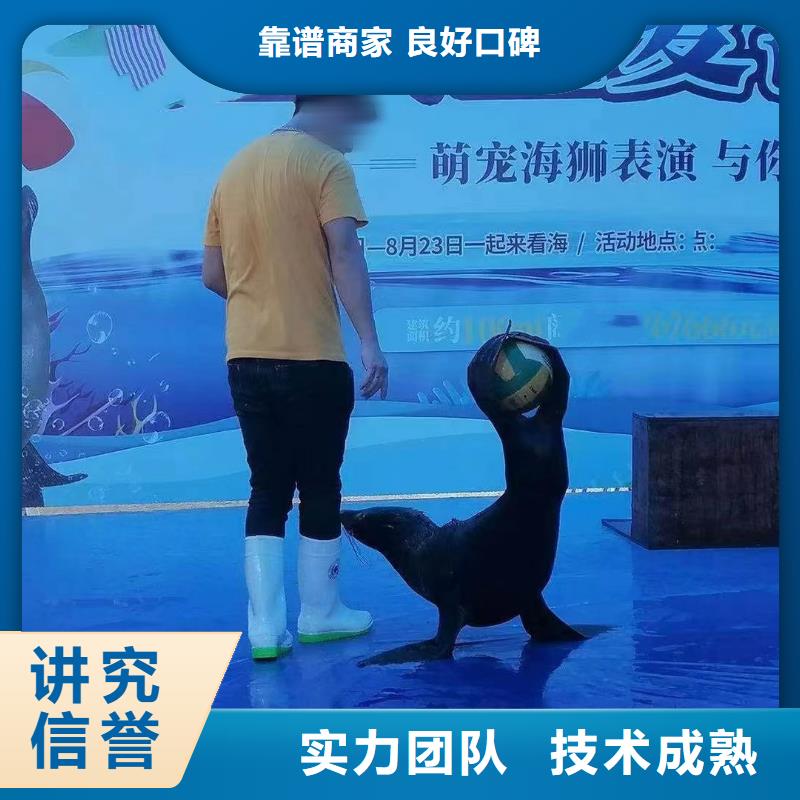 ​哪有出租海洋展的活动庆典当地服务商
