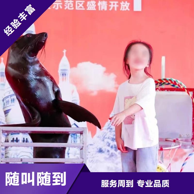 美人鱼表演出租佳木斯暖场活动