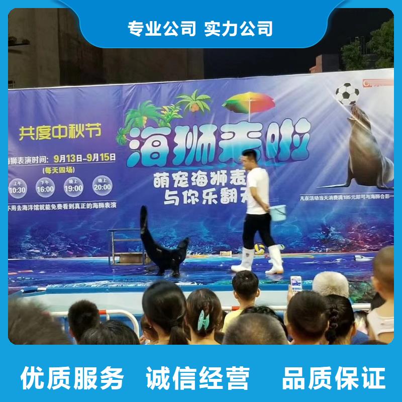 美人鱼表演出租活动图片本地生产厂家