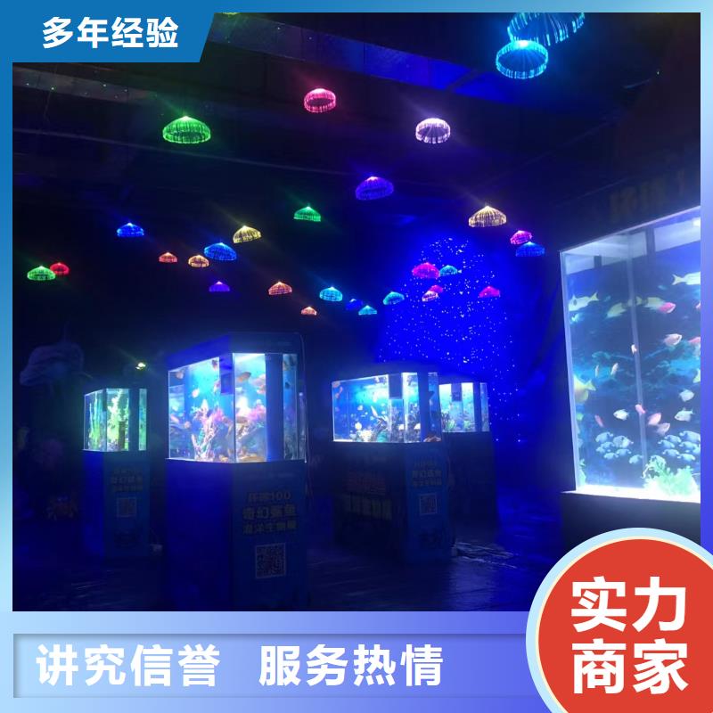 澳门本地海狮表演租赁厂商