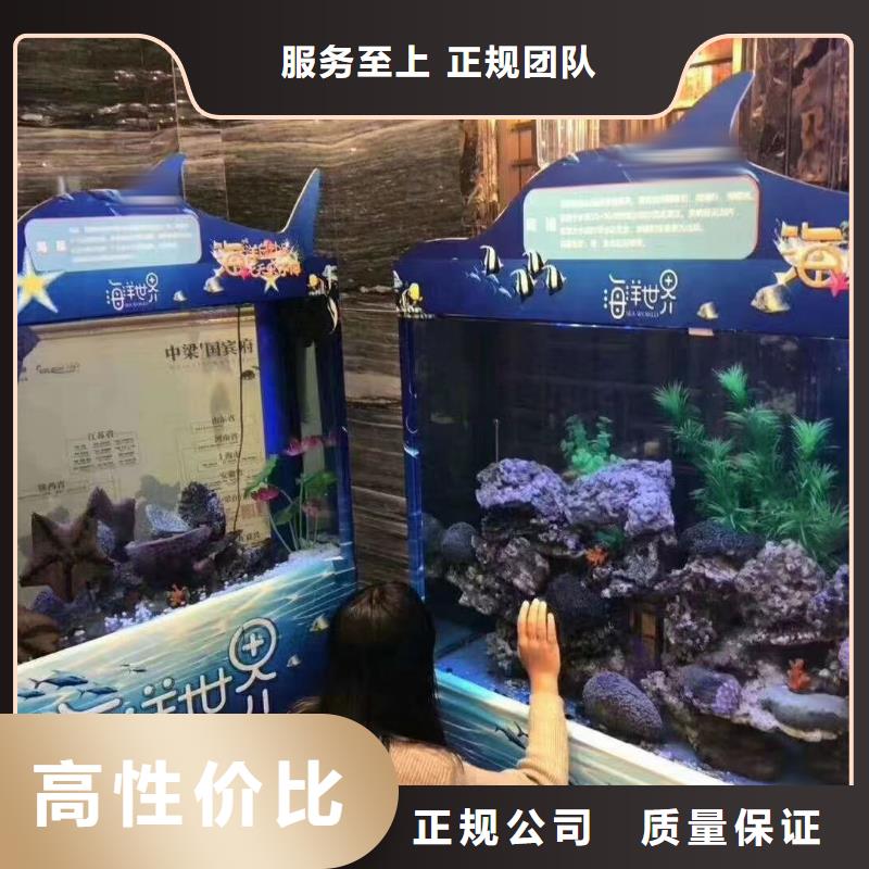 美人鱼表演租赁专业服务
