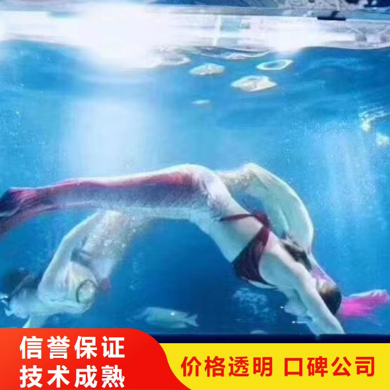 合肥海狮表演免费资源
