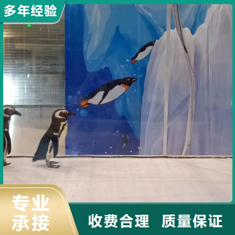 克拉玛依企鹅租赁