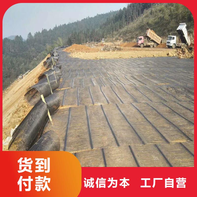 双向塑料土工格栅价格本地制造商