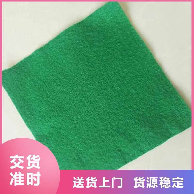 土工布三维植被网严选好货优选厂家