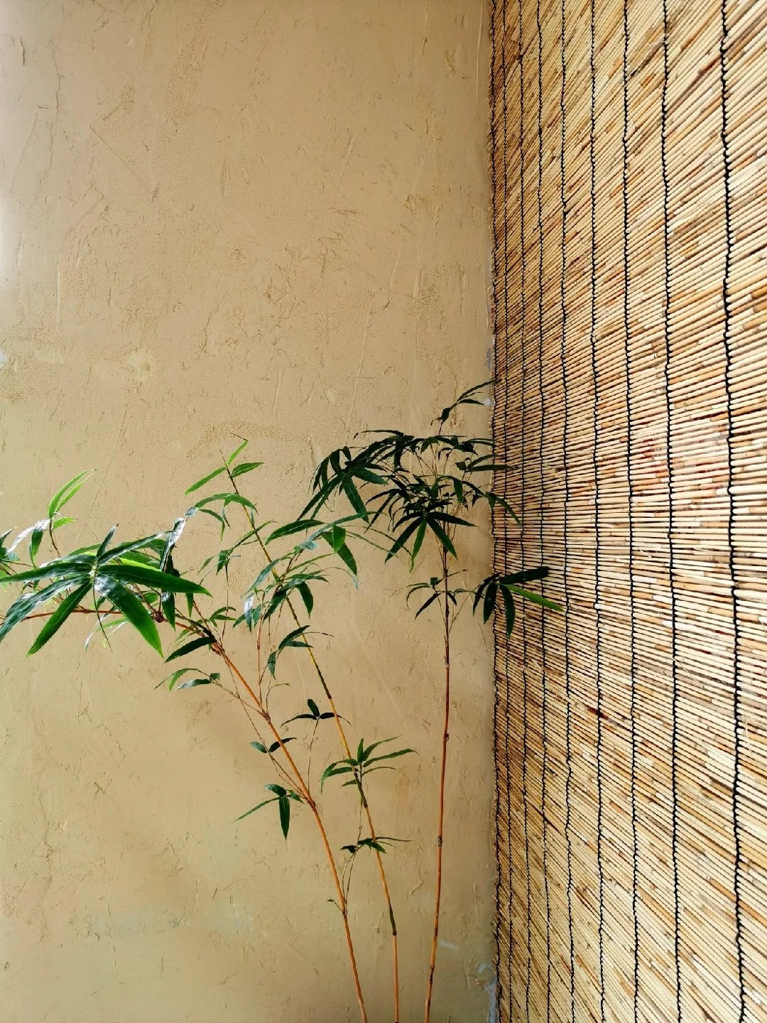 仿夯土外墙漆多少钱#稻壳漆#仿泥巴稻草漆#美丽乡村建设