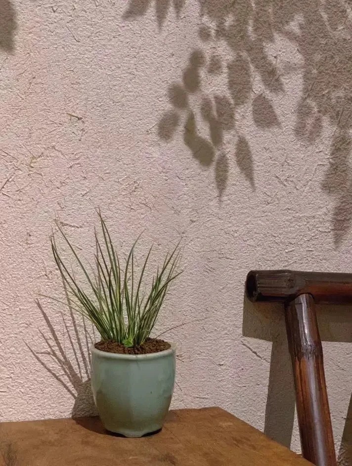 夯土艺术漆厂家#生态稻草漆#老房翻新#农家小院