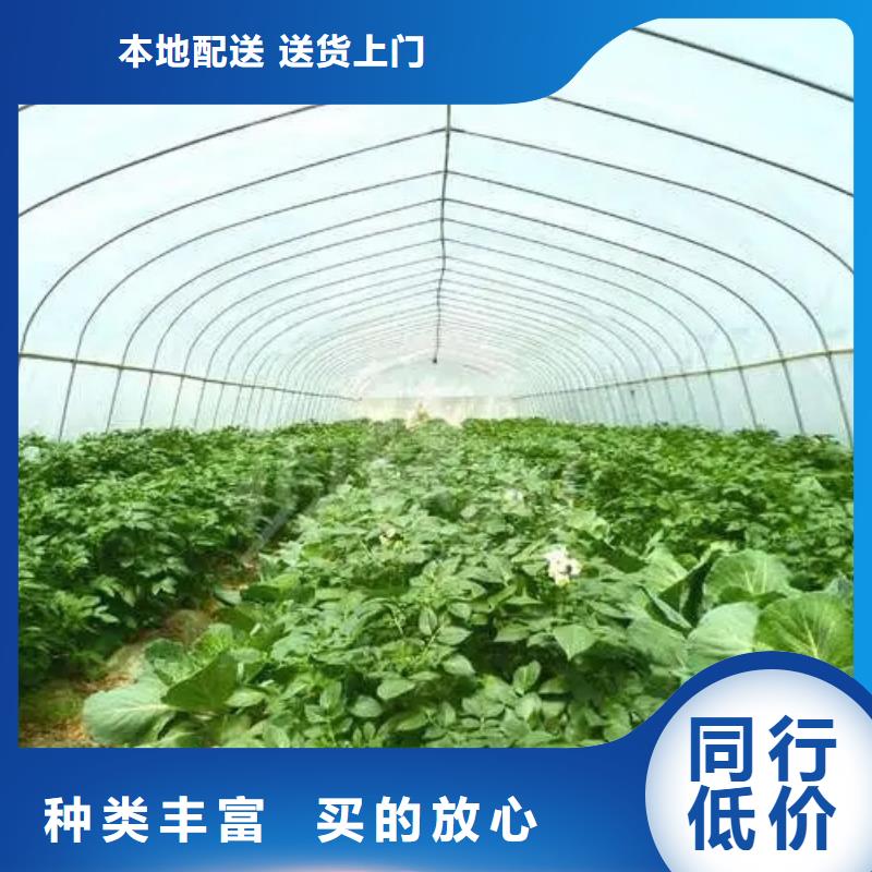 保亭县养殖大棚椭圆管批发零售质量三包