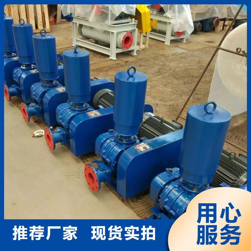 每日三叶罗茨鼓风机LFSR300工艺成熟