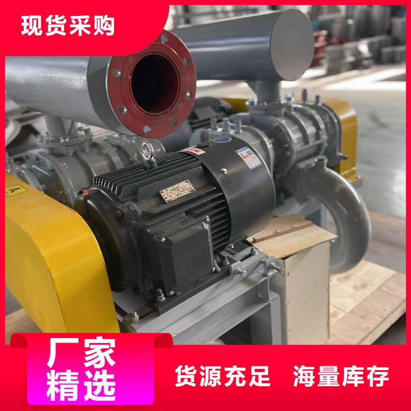 山东临风科技股份L系列罗茨风机LFSR200经久耐用