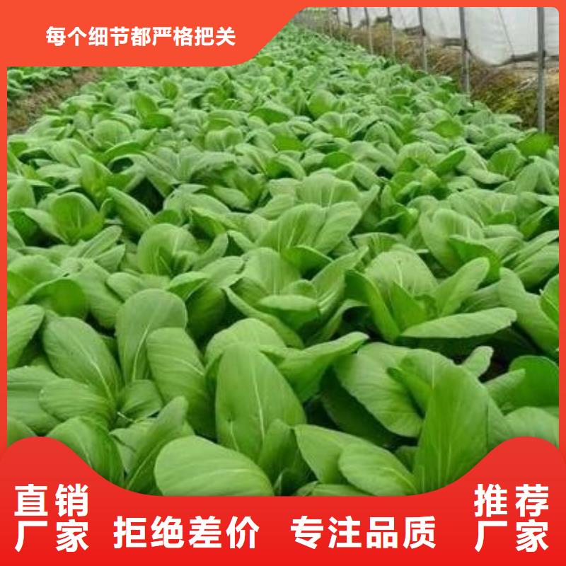 沂南沂源费县鸡粪有机肥哪家好