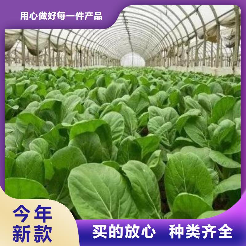 河北纯鸡粪哪里有卖的