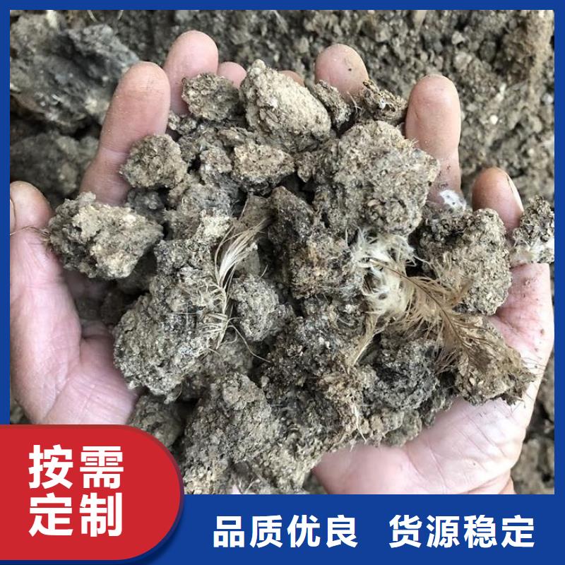 晒干鸡粪后劲足品质有保障