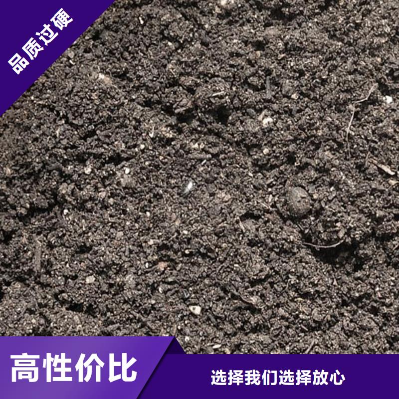 纯鸡粪哪里有卖的通过检测