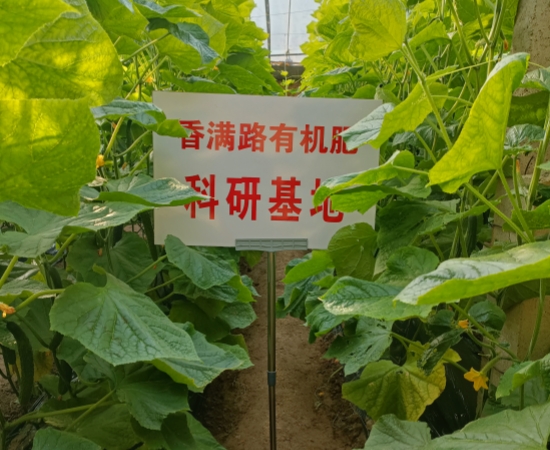 砀山秦皇岛唐山鸡粪图片