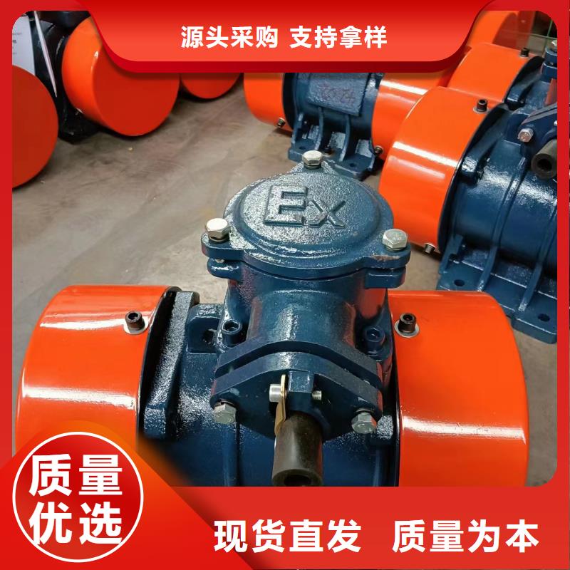 三门峡定制XVM5-6振动电机0.4KW的当地厂家