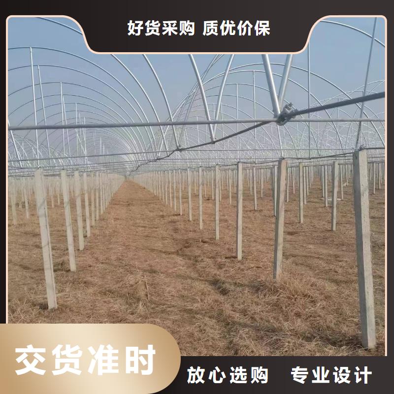 温室大棚-热镀锌椭圆大棚管支持非标定制当地服务商