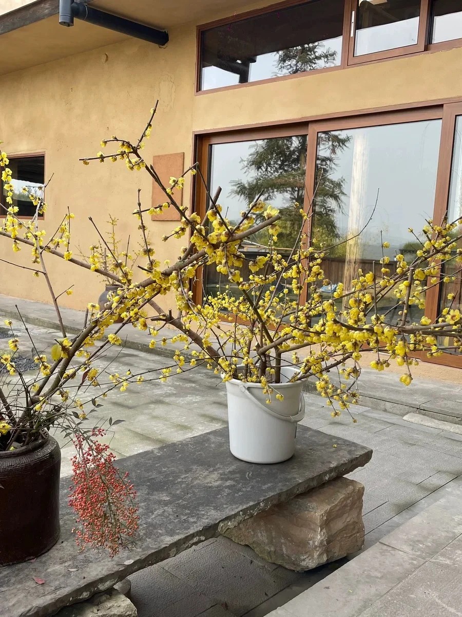 稻草漆厂家施工，经验丰富