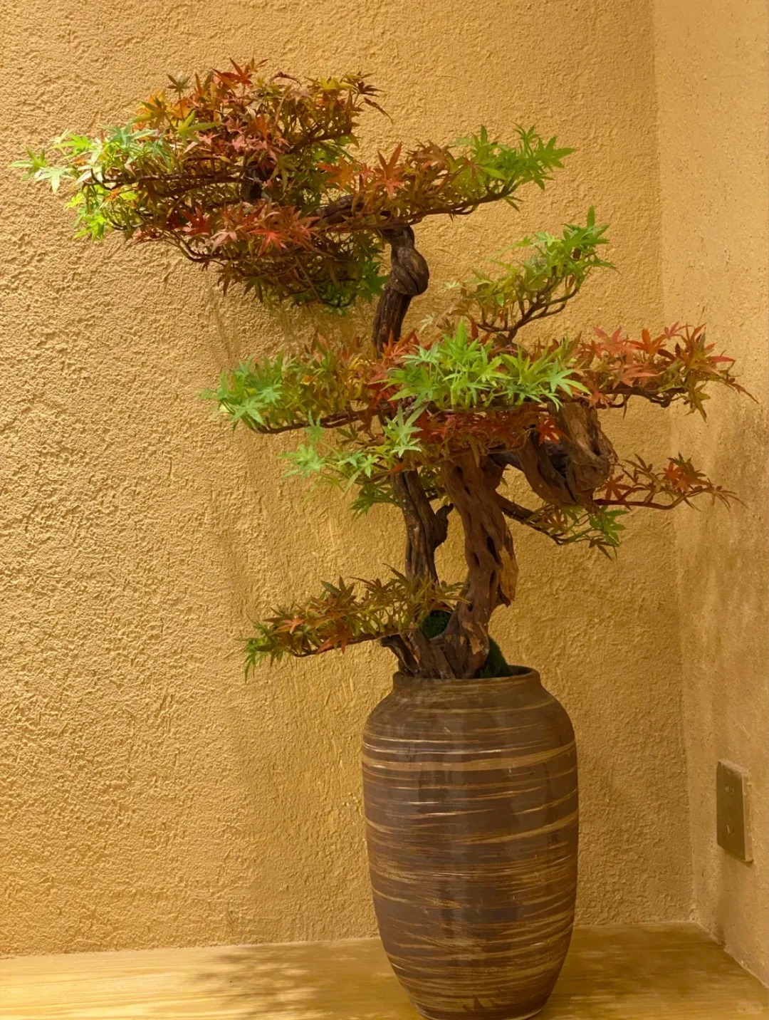 生态稻草漆批发价格
