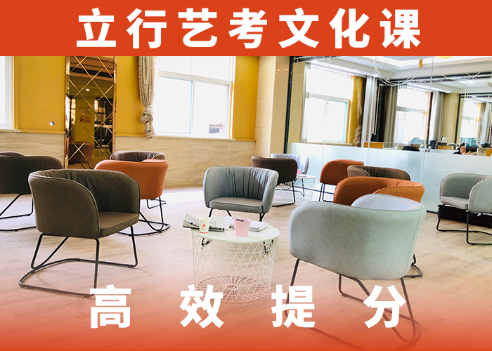 艺考生文化课-艺考一对一教学实操教学