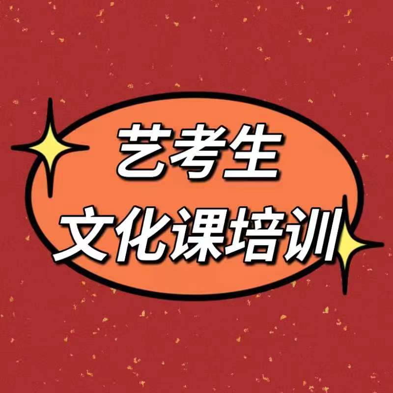 艺考文化课_美术艺考实操教学