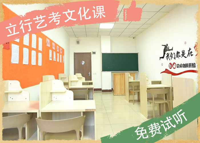 艺考文化课-艺考生一对一补习保证学会