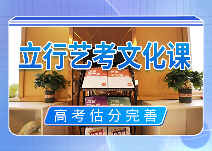 艺考文化课培训理论+实操