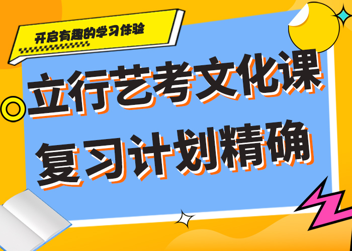生产厂家艺考文化课师资力量强