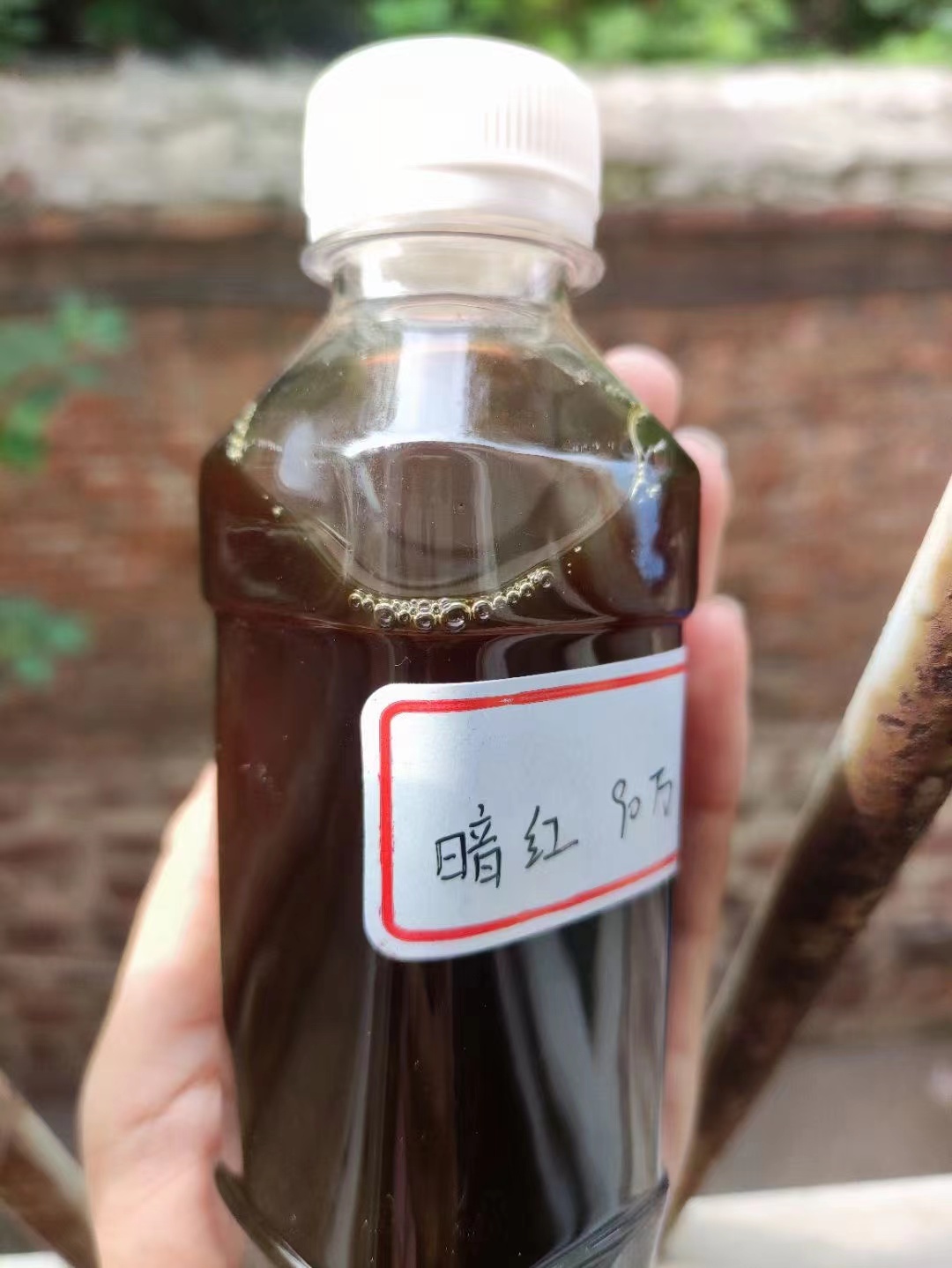  碳源拒绝中间商