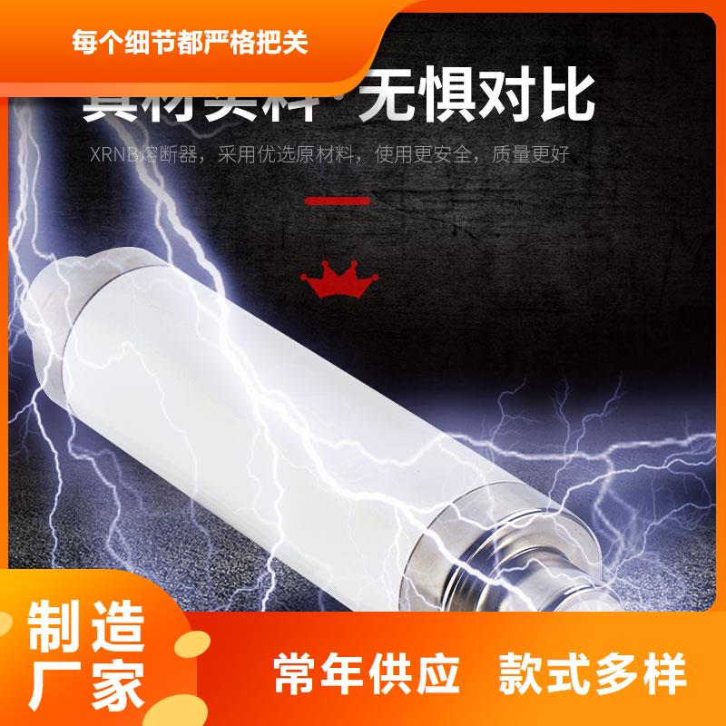 RN3-6/75限流熔断器樊高为您提供一站式采购服务