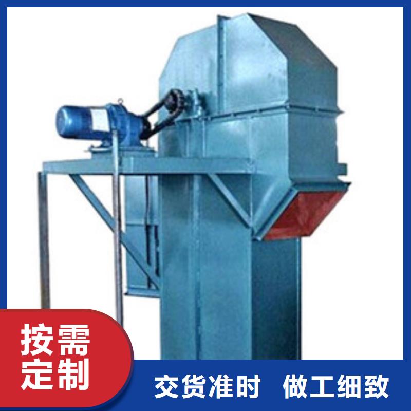 TD315斗式机品质保证海南