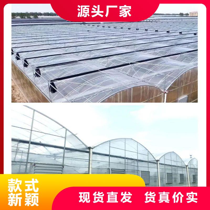 岳阳市高品质大棚骨架多少钱