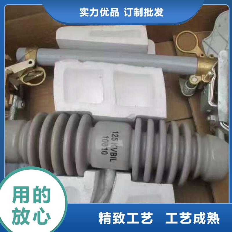 【辽宁】跌落式熔断器RW-10/100-6.3